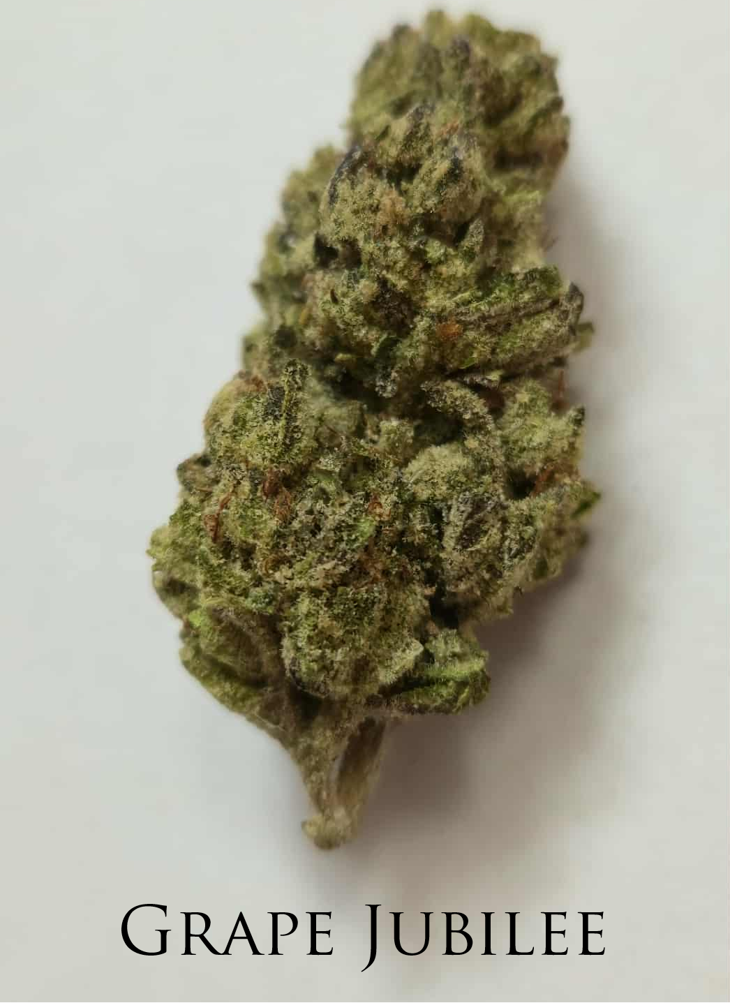 THCa Flower By The Ounce (Choose Your Strain)