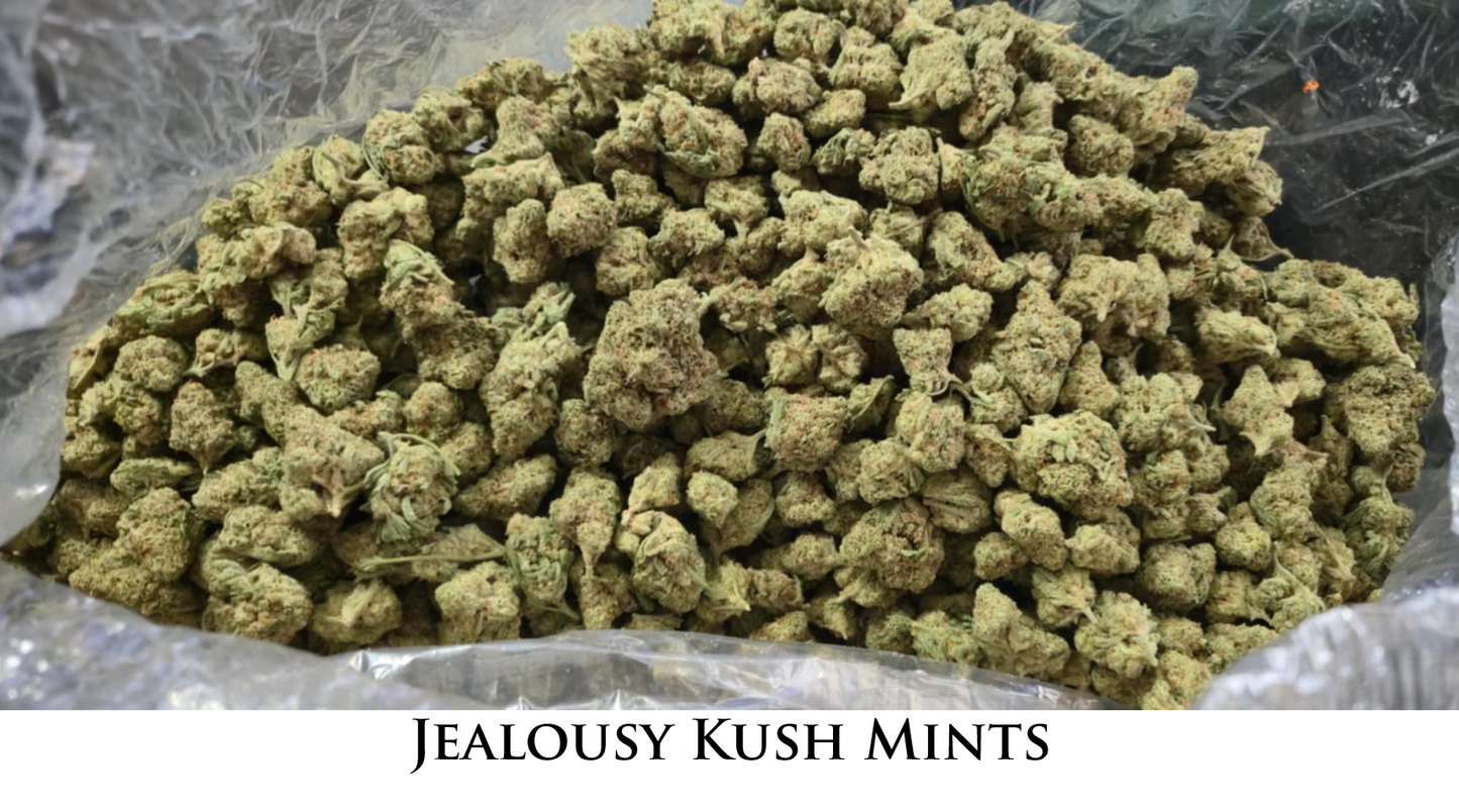 THCa Flower By The Ounce (Choose Your Strain)